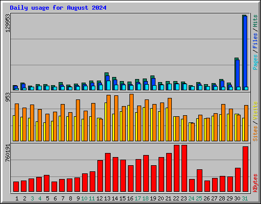 Daily usage for August 2024