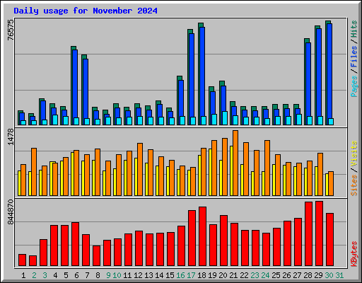 Daily usage for November 2024