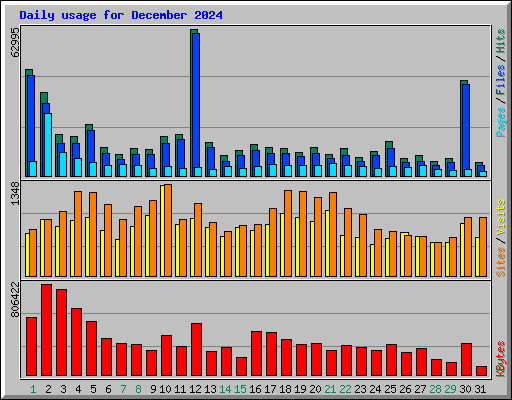 Daily usage for December 2024