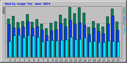 Hourly usage for June 2024