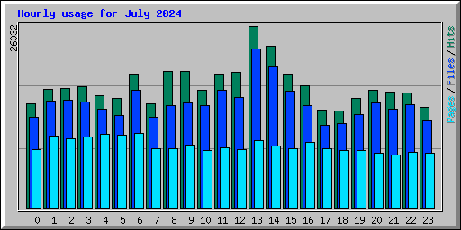 Hourly usage for July 2024