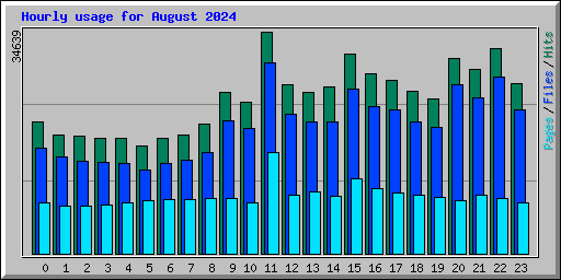 Hourly usage for August 2024