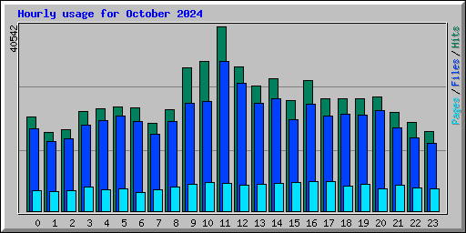 Hourly usage for October 2024
