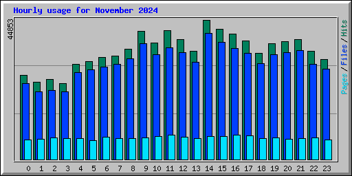 Hourly usage for November 2024