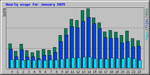 Hourly usage for January 2025