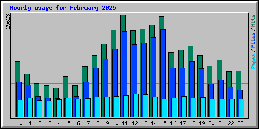 Hourly usage for February 2025