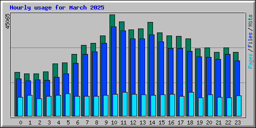 Hourly usage for March 2025
