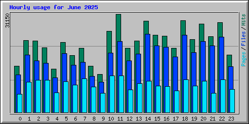 Hourly usage for June 2025