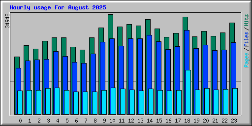 Hourly usage for August 2025