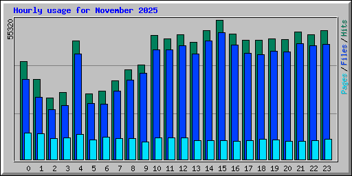 Hourly usage for November 2025